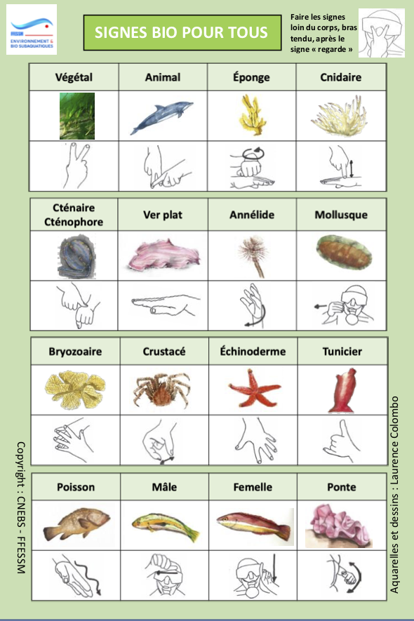 Maquette plaquette signes bio V4 tous 2019